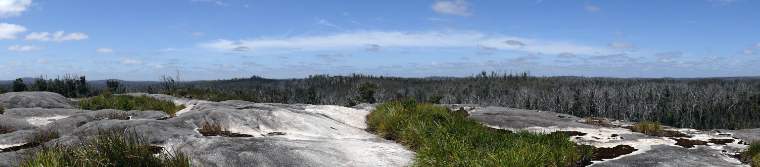 mundi biddi panoramica
