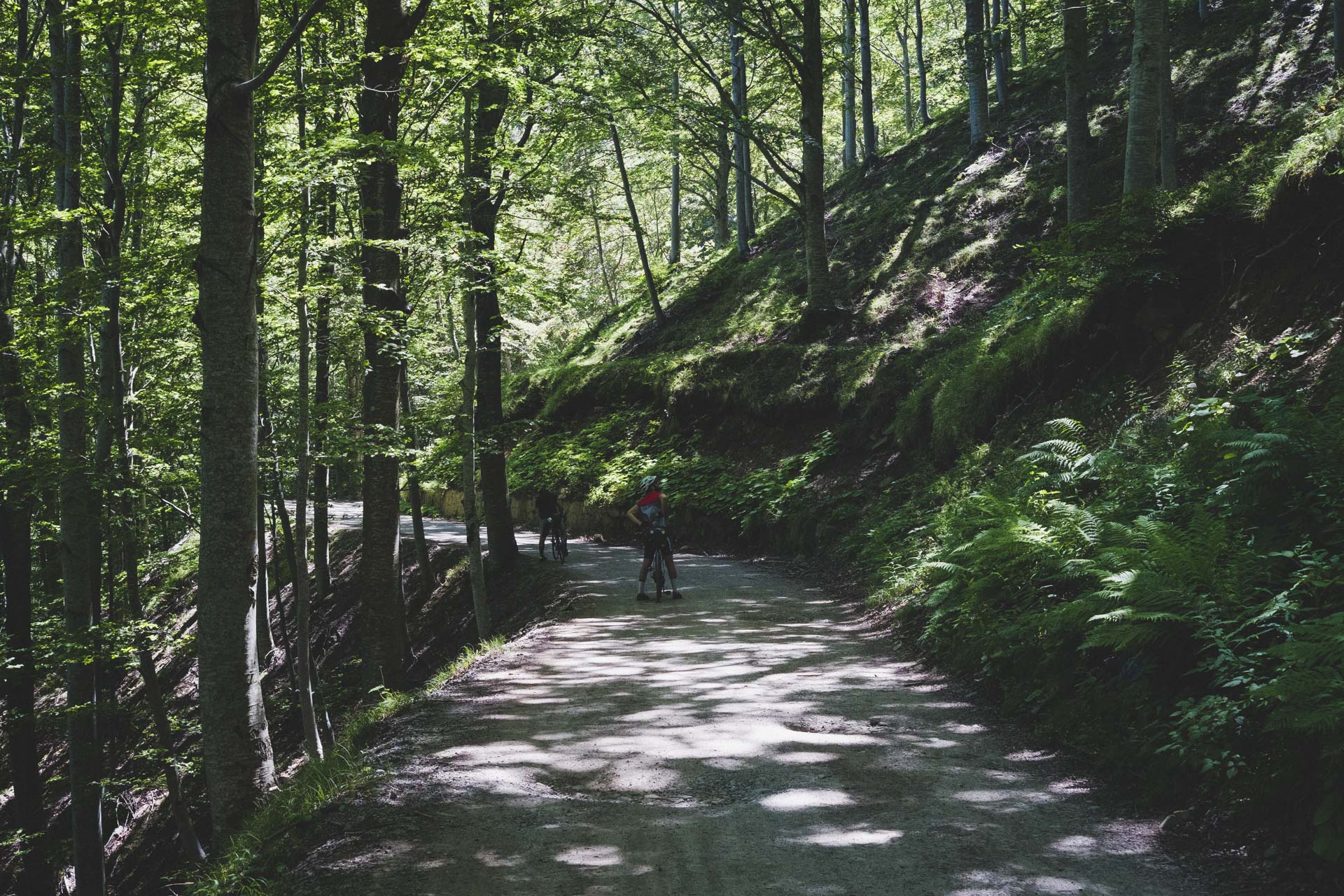 garfagnana deluxe-13
