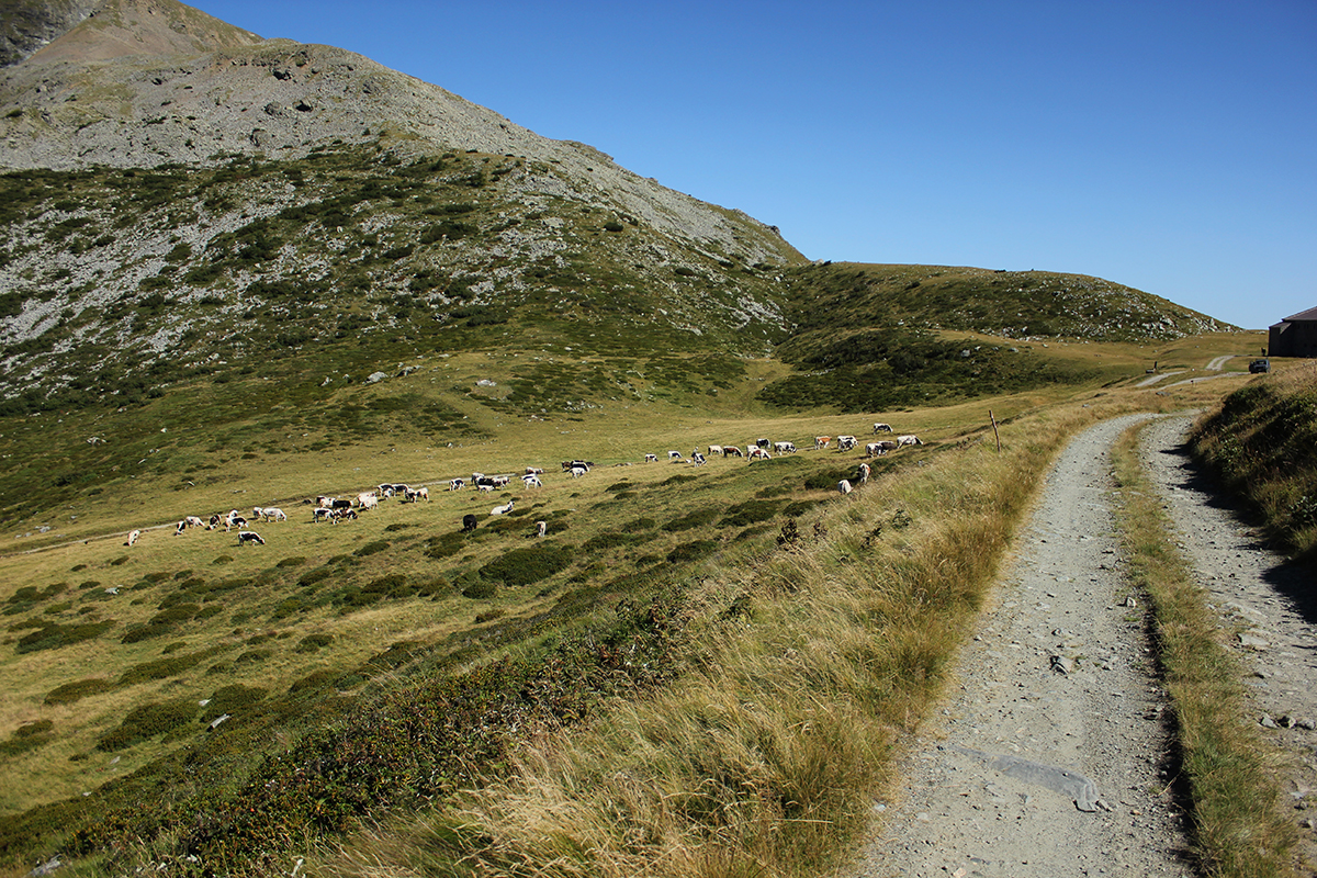 git_collombardo_img_4570_post_w (1)
