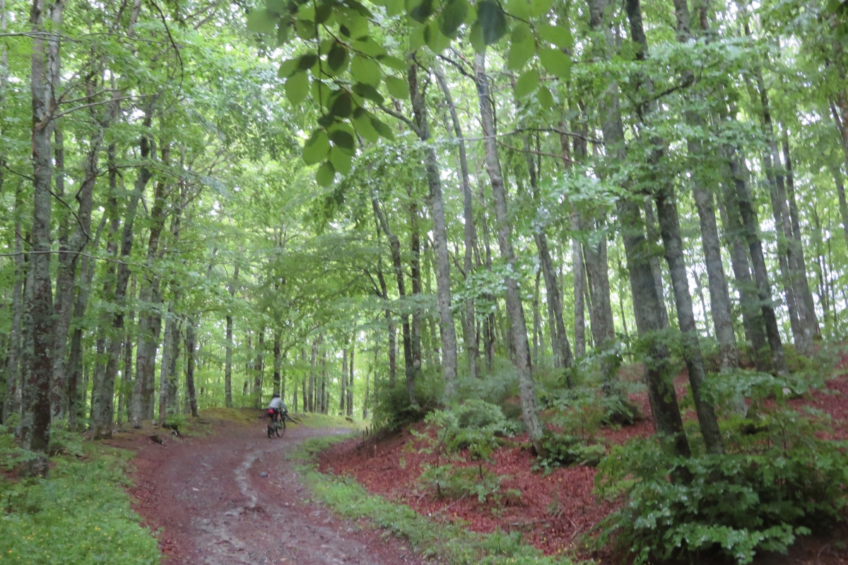 grand italian trail basilicatal 002