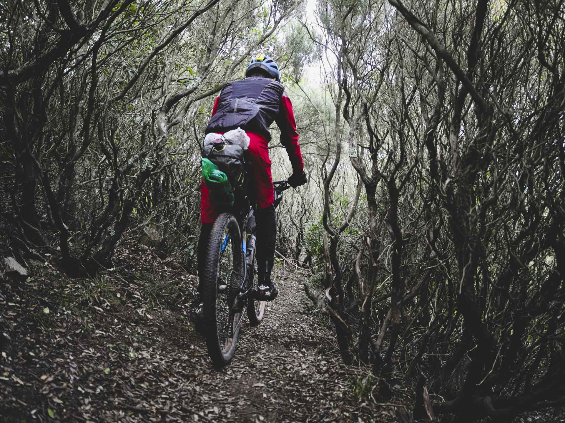 nurra trail