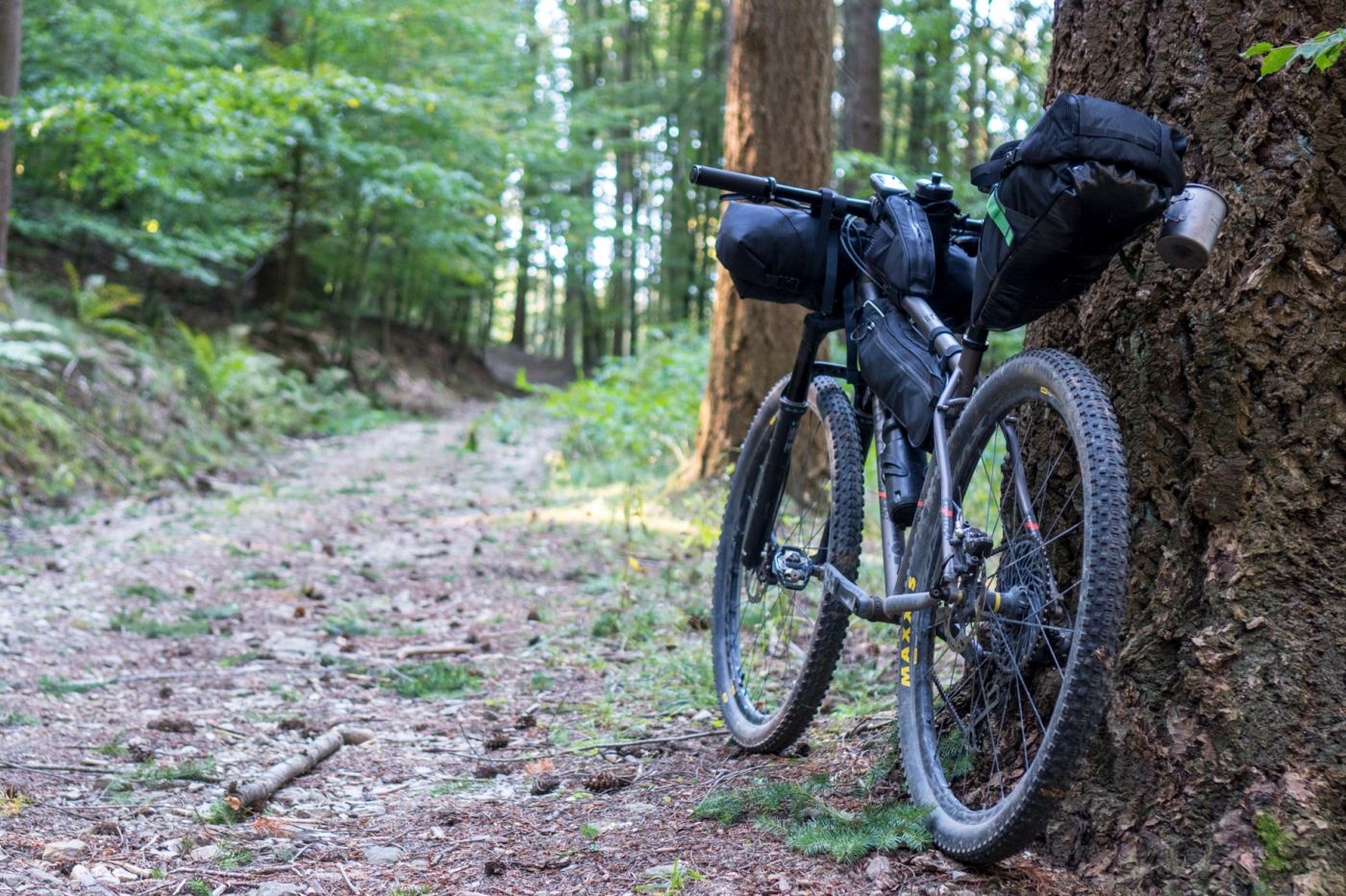 pratomagno_bikepacking-15