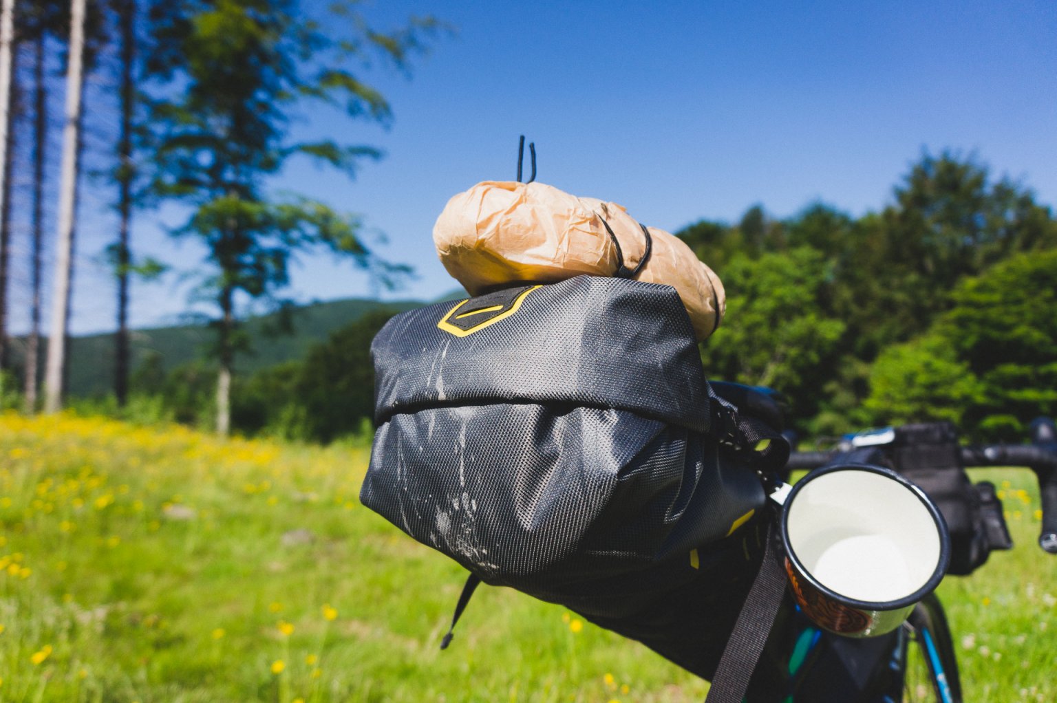 Apidura Expedition Series saddle bag